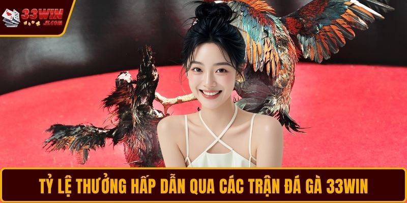 Tỷ lệ thưởng hấp dẫn qua các trận đá gà 33WIN